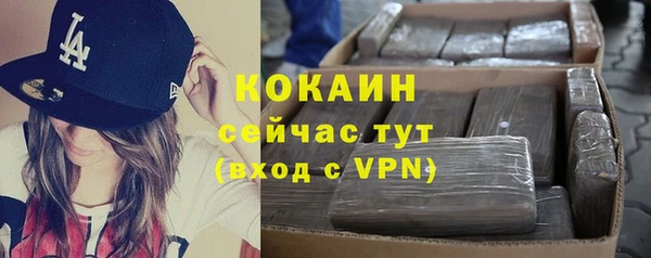 эйфоретик Каменка