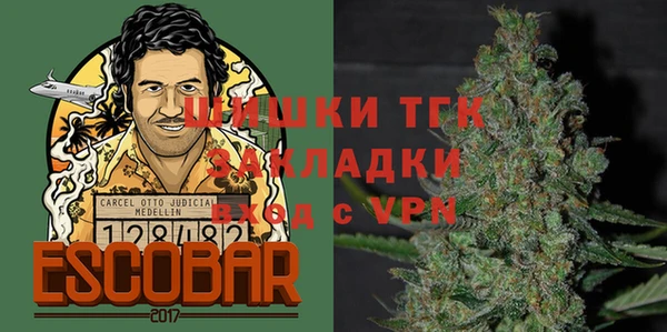 эйфоретик Каменка
